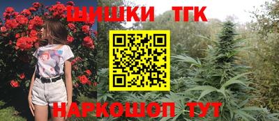 спиды Гусев