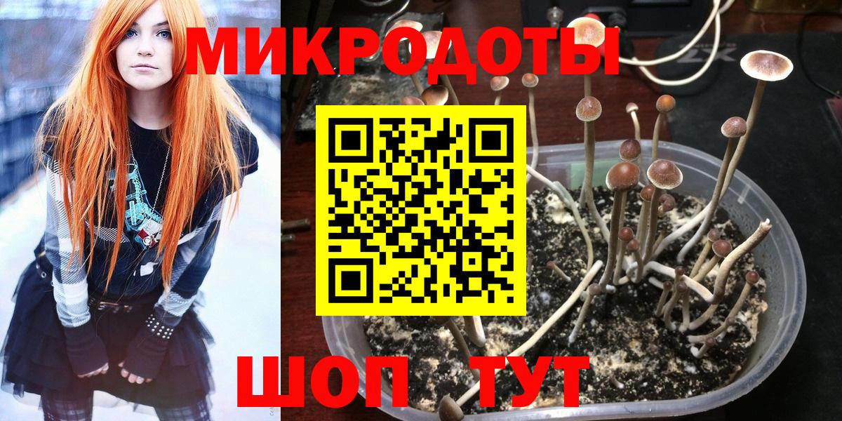 Псилоцибиновые грибы Psilocybine cubensis  Вход с VPN  Протвино 