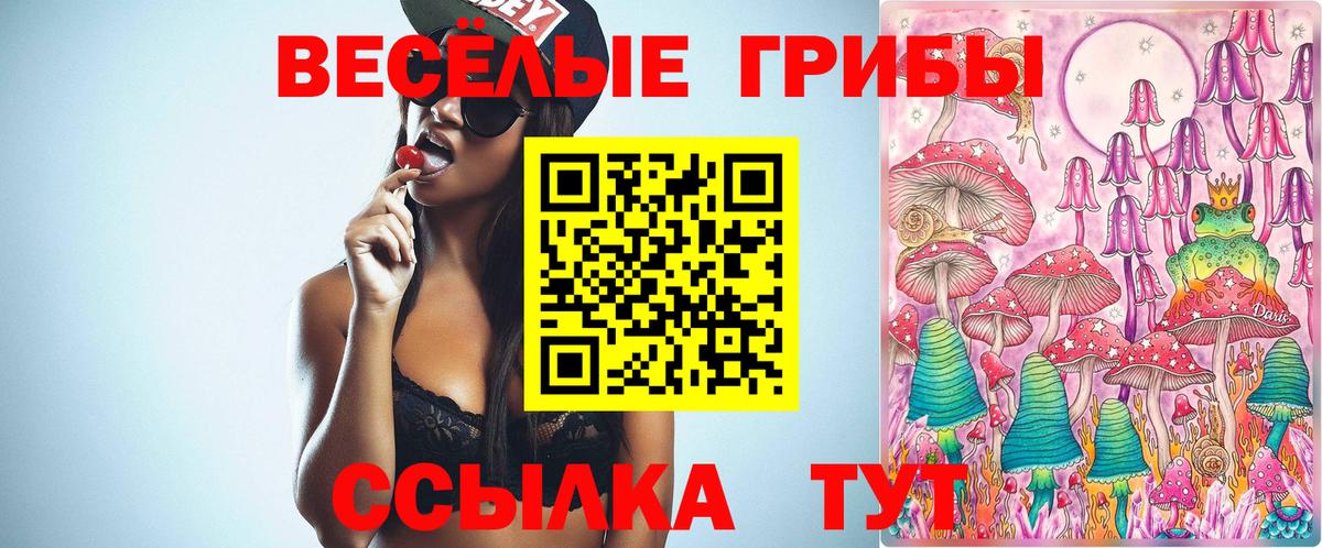 А ПВП СК   Кетамин  NBOMe  Протвино  Конопля  Метадон  ГАШ  Марихуана  COCAIN  АМФ кристаллы  ГАШ  Вход с VPN  Мефедрон  