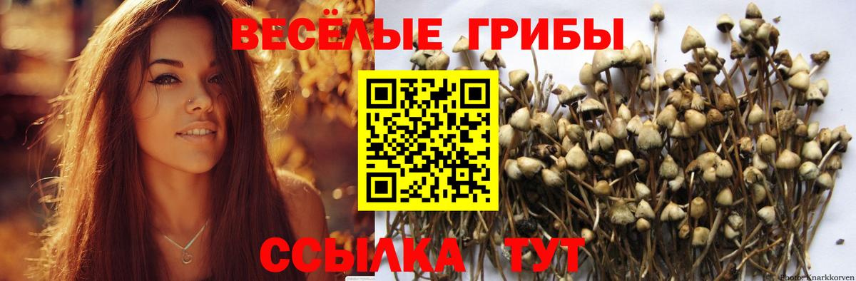 Галлюциногенные грибы ЛСД Протвино